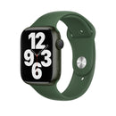 Series 7 Smartwatch (Aluminum/GPS+Cellular) A2473