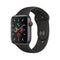 Series 5 Smartwatch (Stainless Steel/WiFi)